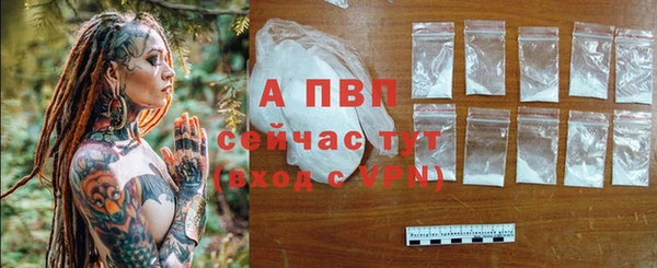 a pvp Белоозёрский