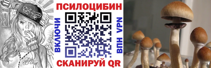 Псилоцибиновые грибы Cubensis  цена наркотик  MEGA вход  Дно 